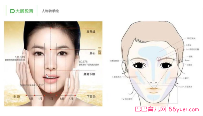 拍摄与剪辑:PS人物转手绘,全集百度网盘下载|巴巴育儿