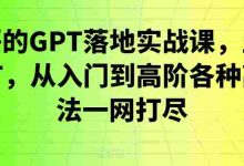 浩哥的GPT落地实战课，主攻GPT，从入门到高阶各种高端法一网打尽|巴巴育儿