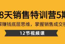 28天·销售特训营5期:了解赚钱底层思维,掌握销售成交密码(12节课)|巴巴育儿