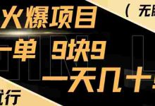 年底火爆项目，一单9.9，一天几十单，只需一部手机，傻瓜式操作，小白有手就行|巴巴育儿