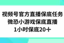 视频号直播任务，微恐小游戏，1小时20+【揭秘】|巴巴育儿