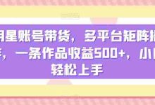 明星账号带货，多平台矩阵操作，一条作品收益500+，小白轻松上手【揭秘】|巴巴育儿