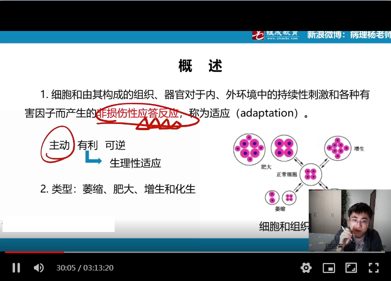 2024考研西综:【贺银成】西综|巴巴育儿
