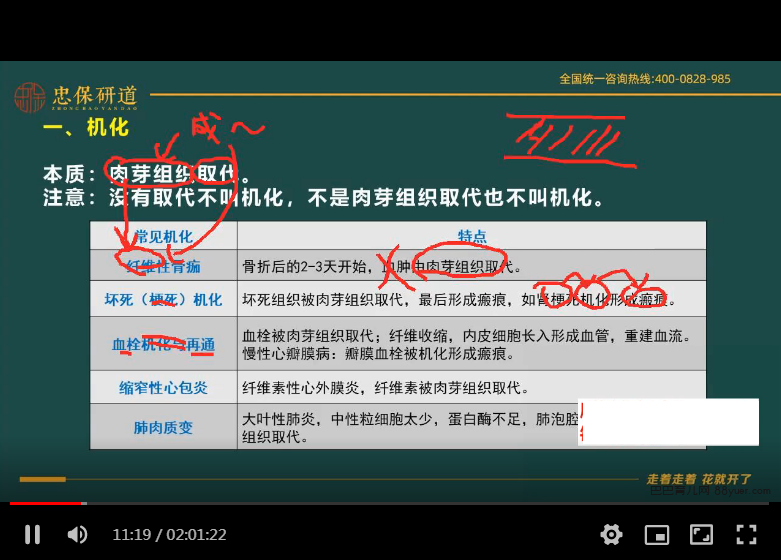 2024考研西综:【刘忠宝】西综|巴巴育儿